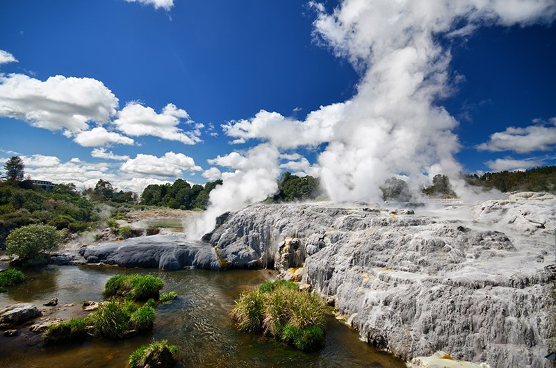 Steam coming out of geyser in Te Puia Rotorua 