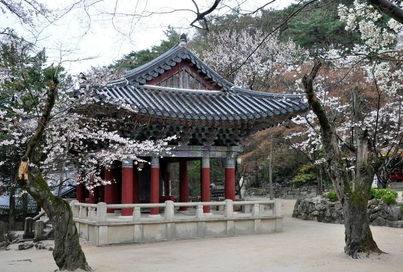Bulguksa Temple in Seoul with trees in front of it 