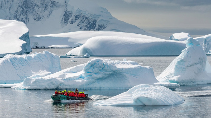 Cuverville Island, Antarctica. Image: Karsten Bidstrup for Hurtigruten