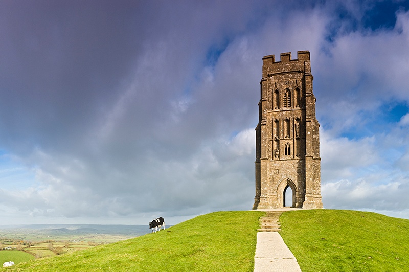 The glastonbury tor in the middle of the mountain peak with a black and white cow eating grass on its side