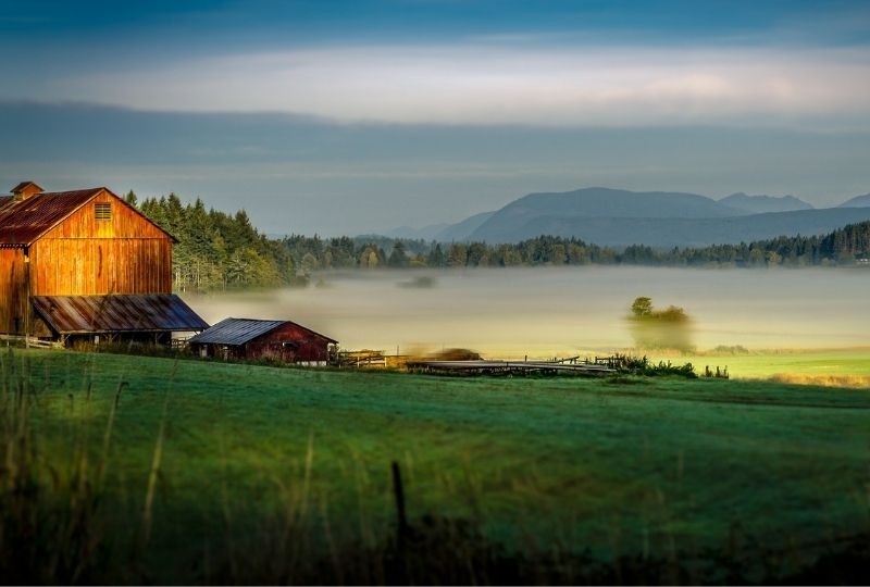Image of a barn on a foggy morning on Vancouver Island