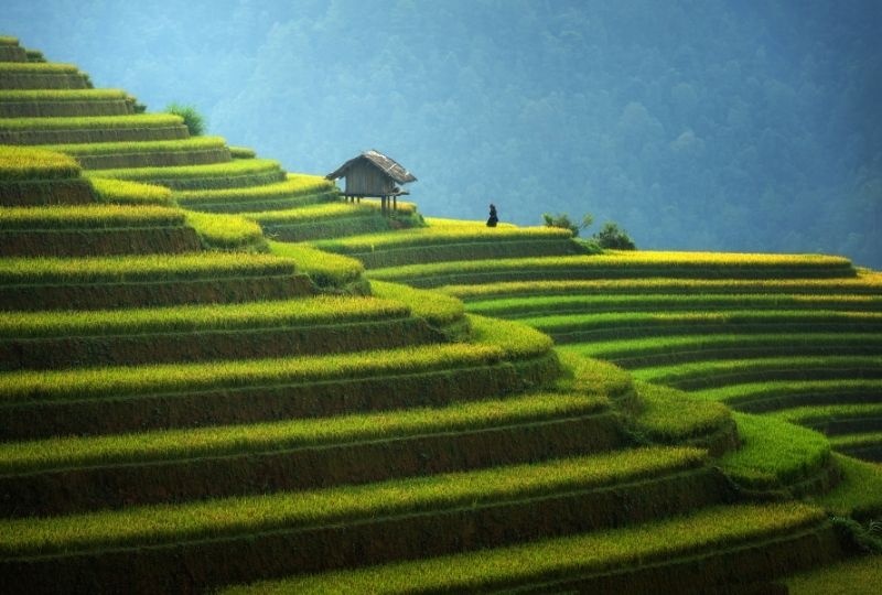 Image of Vietnam