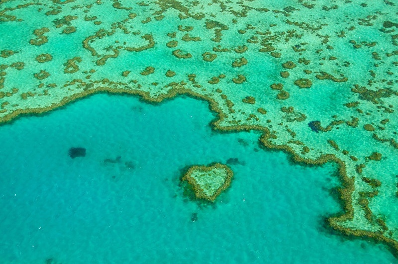 An aerial view of Heart Reef on the Great Barrier Reef in the Whitsundays.