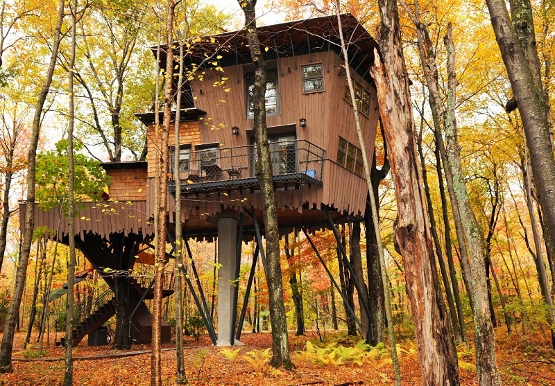 Your own personal cabin high up in the trees. Photo: Winvian Tree House.