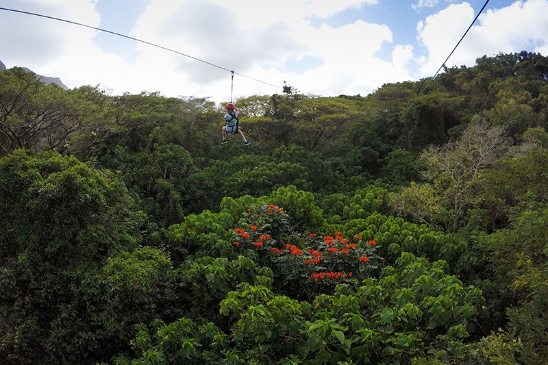 Zip-lining over the trees in Kauai