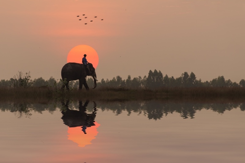 A man riding an elephant walking through the sunset