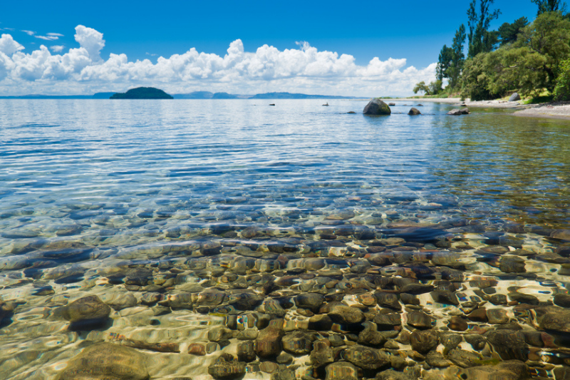 Clear waters of Lake Taupo 