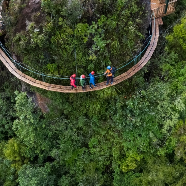 Rotorua Canopy Tours