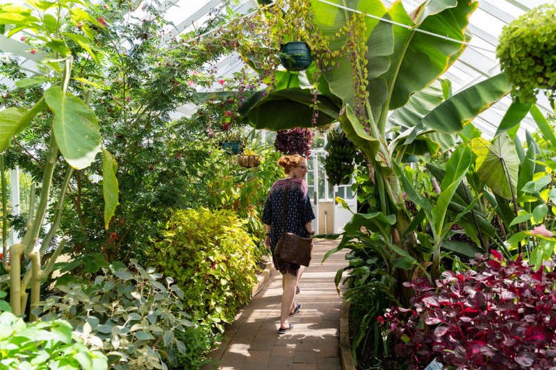 Dunedin Botanic Garden