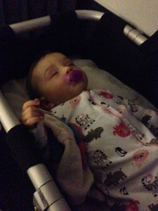 Air nz bassinet sales size