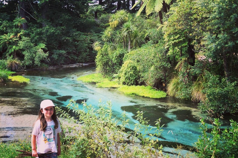 The turquoise waters at Hamurana Springs Nature Reserve, near Rotorua