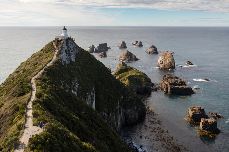 Nugget Point Lighthouse, The Catlin&#039;s