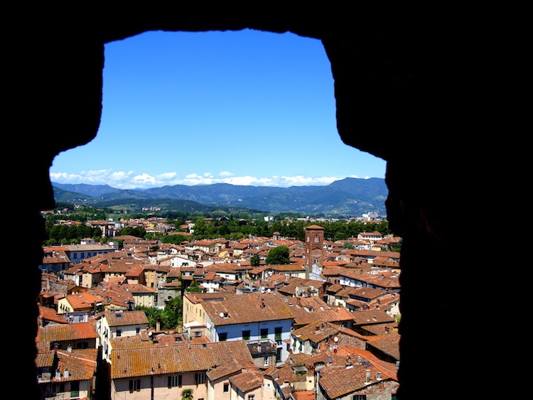 A view of Lucca, from the Torre Guinigi (Guinigi Tower). Photo: Alexia Santamaria