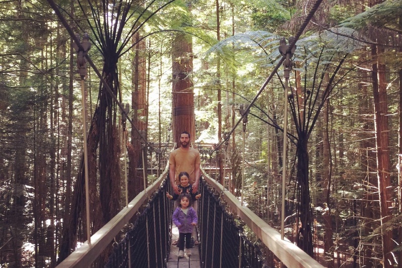 Family fun at Redwoods Treewalk in Rotorua