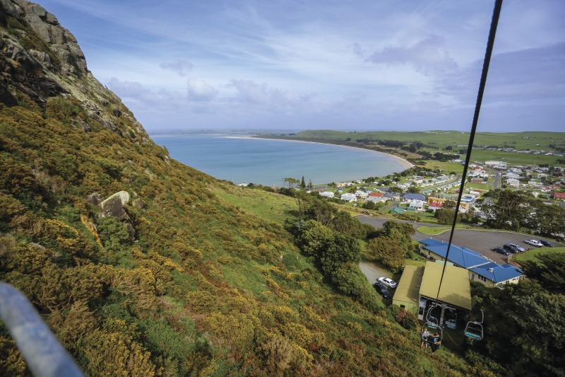 The Nut State Reserve, Stanley