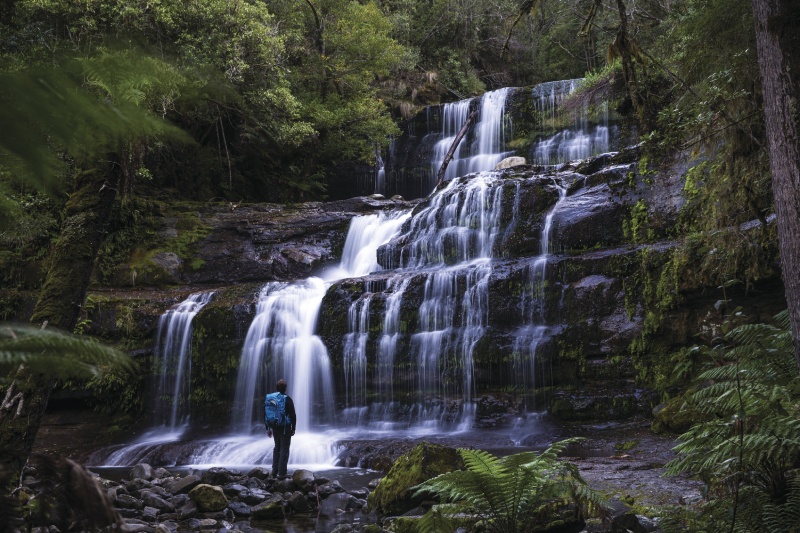 Waterfall, Mount Field National Park, Tasmania