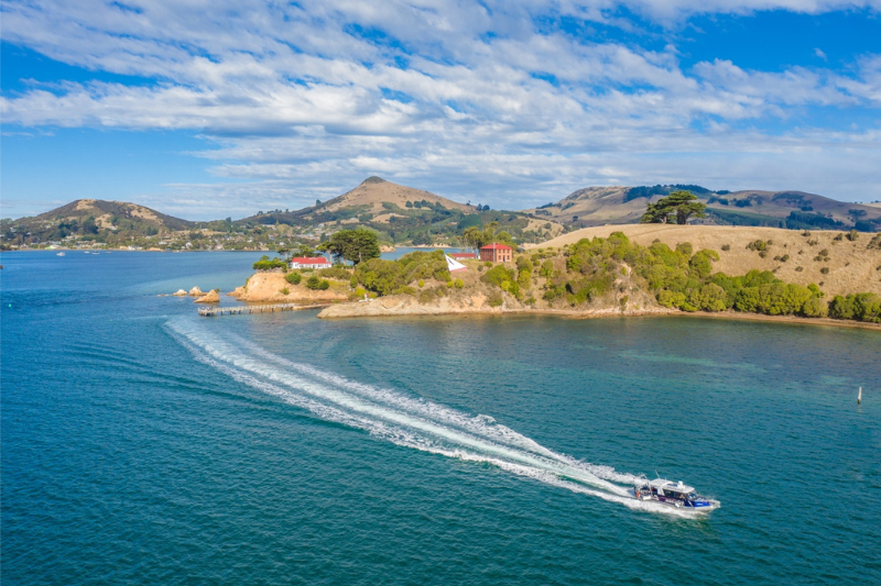 Beautiful views down Otago Harbour