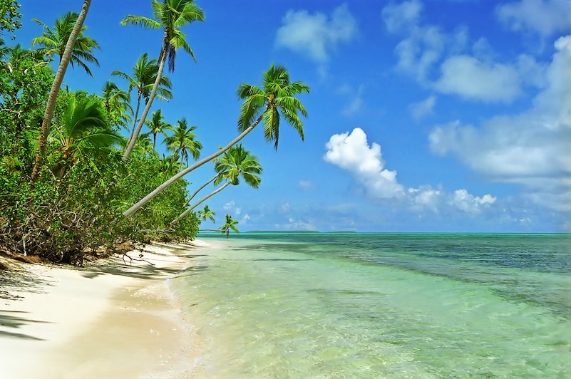 Palms lean over still blue waters of a beach on Uiha Island, Tonga