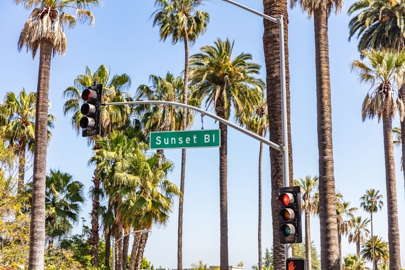 Sunset Bl. signage beside a traffic light