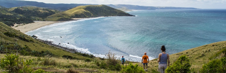 Hikers follow a trail down a grassy slope towards a bay and beach