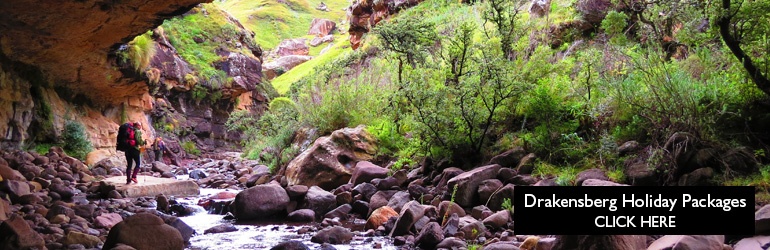 A view of a hiking trail in the Drakensberg.