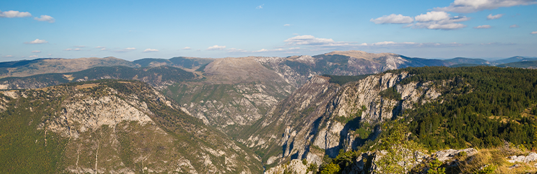 Ariel view of green mountains 