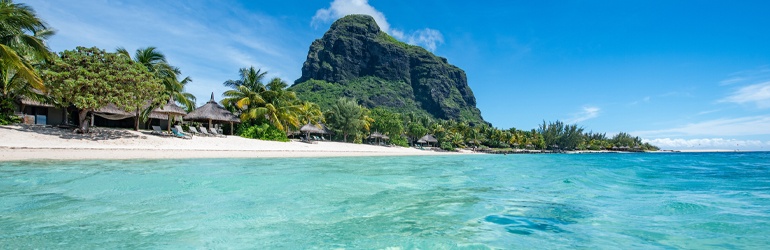 Clear blue water and greenery on a Mauritius beach 