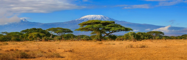 Mount Kilimanjaro with snow on top