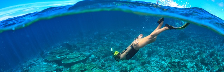 A person snorkelling and diving towards a reef
