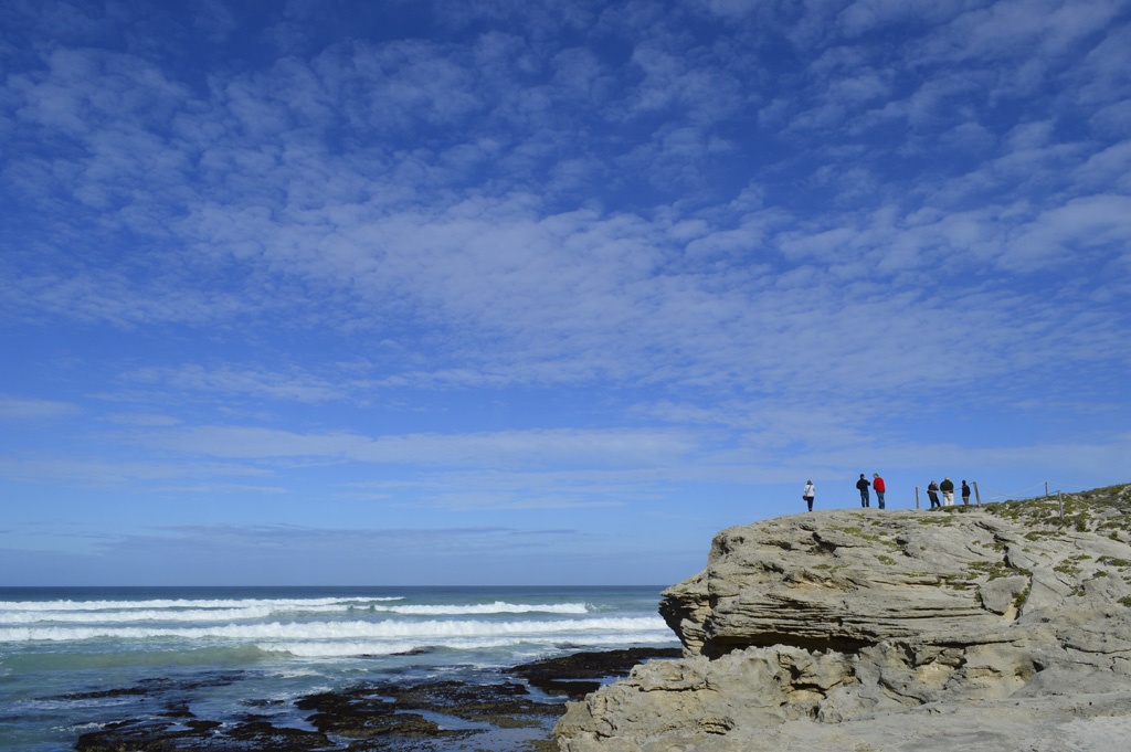 A group of people standing on a rock looking out to sea